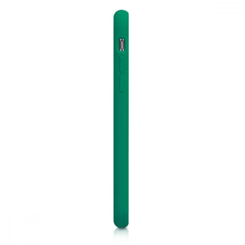 Etui do Apple iPhone X / iPhone XS, Silikon, Zielony, 42495.142