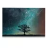 Tabla magnetica Navaris, Starry Sky & Tree, 60x40 cm, whiteboard si magneti, multicolor, plastic