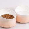 Zestaw 2 wysokich misek ceramicznych Navaris dla kotów i psów z matą, 250 ml, 53300.60