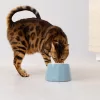 Pochylana ceramiczna miska dla zwierząt Navaris, niebieska, 55230.04
