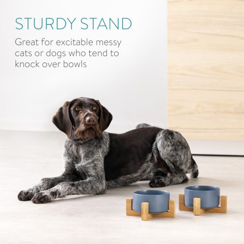Zestaw 2 misek dla kotów i psów z bambusową podstawą Navaris, 550 ml, niebieski, 48350.1.04