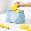 Zestaw 5 tabletek chłodzących Navaris do torby termoizolacyjnej, wielokrotnego użytku, ananas, 48099.03