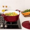 Navaris Garnek żeliwny z powłoką zapobiegającą przywieraniu do kuchenek/piekarników - 20 cm - 2,5 l - czerwony, 58000.01.20