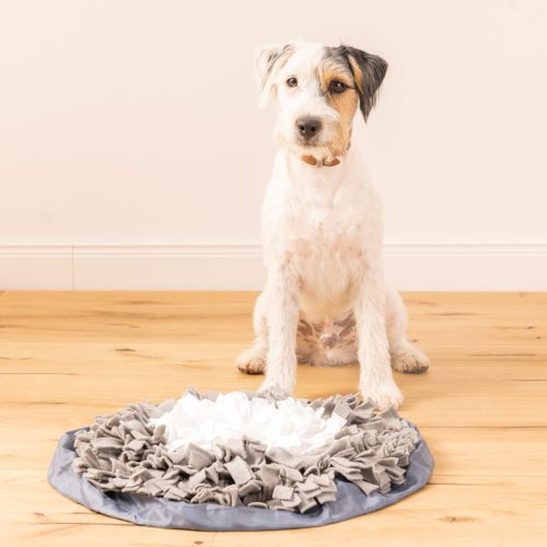 Covoras de adulmecat Navaris pentru caini, rotund, lavabil, gri/albastru, 55129.22