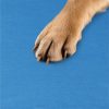 Covoras de racire pentru animale Navaris, 81x96 cm, portabil, NAV0000272M003C