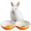 Castron dublu Navaris anti-varsare pentru animale mici, ceramica, NAV000013SF002C