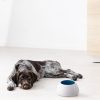 Bol ceramic Navaris pentru caini cu urechi lungi, lavabil, ceramica, alb, 56612.04