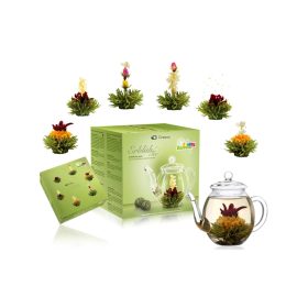   Zestaw prezentowy herbaty kwitnącej Creano z czajniczkiem szklanym 500 ml, 6 wariantów owocowej zielonej herbaty
