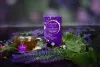Herbata Bio Creano Evening Tea, 20 torebek, ziołowy aromat z cynamonem, bez kofeiny